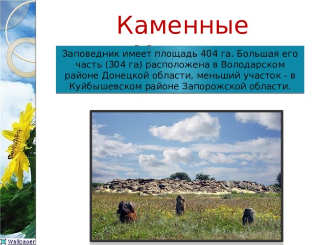 Каменные Могилы Заповедник имеет площадь 404 га. Большая его часть (304 га) расположена в Володарском районе Донецкой области, меньший участок - в Куйбышевском районе Запорожской области. 