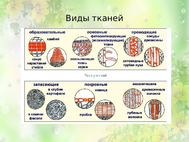 5 видов материалов