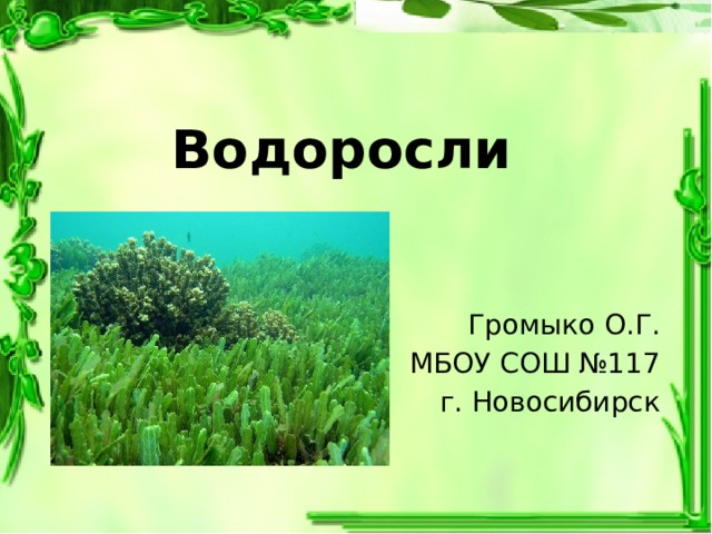Водоросли Громыко О.Г. МБОУ СОШ №117 г. Новосибирск 