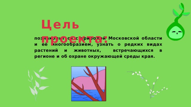 Цель  проекта: познакомиться с природой Московской области и её многообразием, узнать о редких видах растений и животных,  встречающихся  в  регионе  и  об  охране  окружающей  среды  края. 