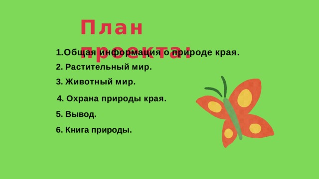 План  проекта: Общая  информация  о  природе  края. Растительный  мир. Животный  мир. Охрана  природы  края. Вывод. Книга природы. 