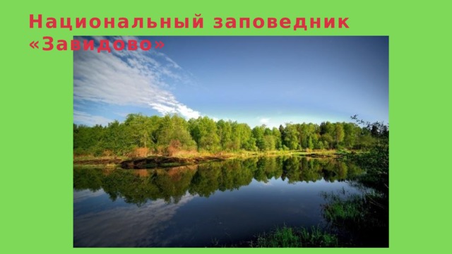 Национальный  заповедник  «Завидово» 