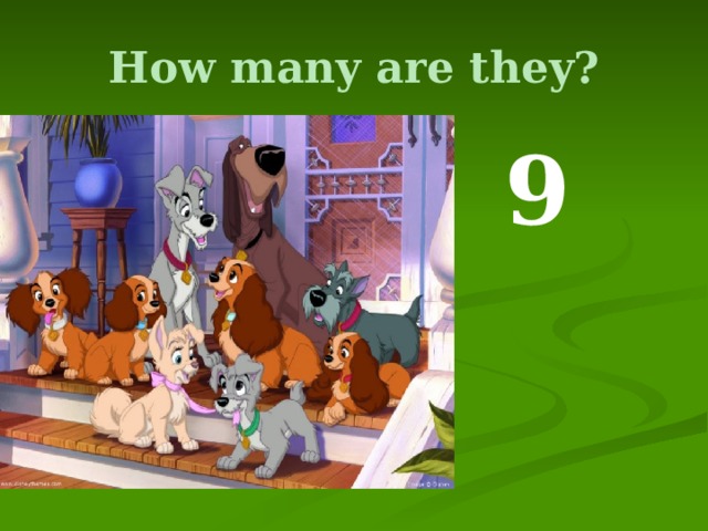 How many are they?  9 