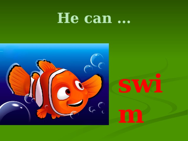 He can …  swim 