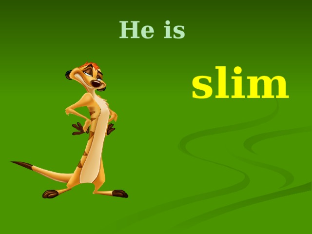 He is  slim 