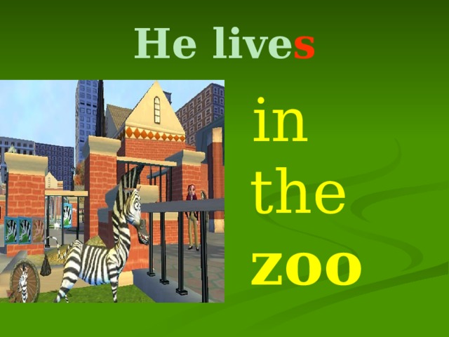 He live s  in the zoo 
