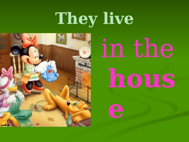 They live in the house 