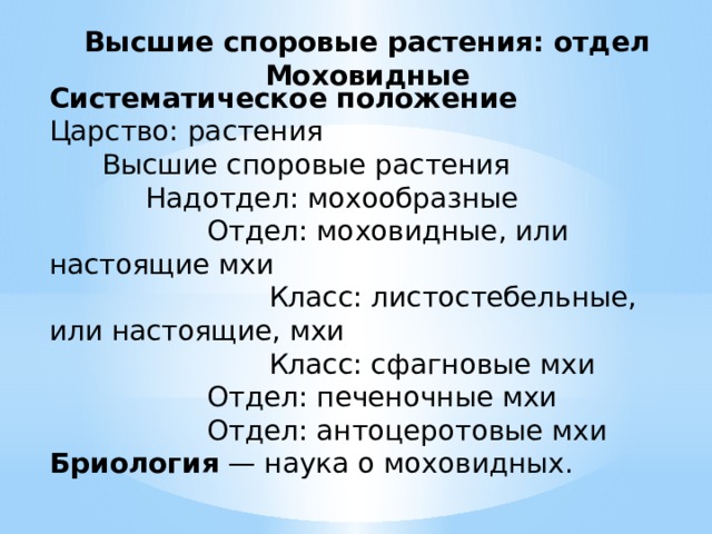 Высшие споровые растения: отдел Моховидные Систематическое положение Царство: растения       Высшие споровые растения             Надотдел: мохообразные                   Отдел: моховидные, или настоящие мхи                           Класс: листостебельные, или настоящие, мхи                           Класс: сфагновые мхи                   Отдел: печеночные мхи                   Отдел: антоцеротовые мхи Бриология  — наука о моховидных. 