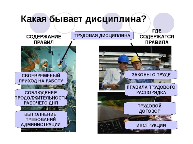 Для чего нужна дисциплина 7 класс обществознание презентация
