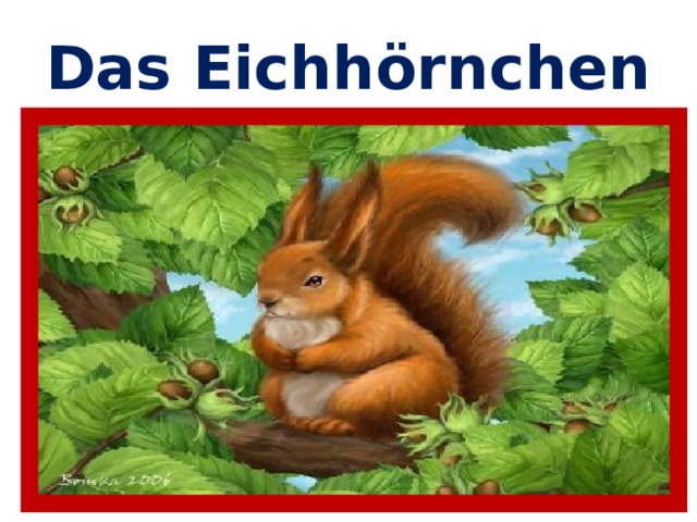 Das Eichhörnchen 