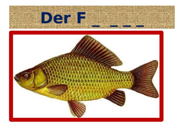 Der F _ _ _ _ 