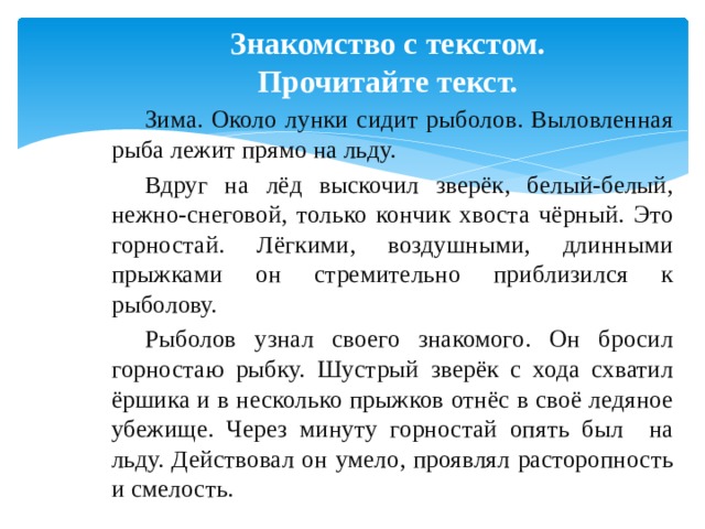 Знакомство с текстом.  Прочитайте текст. Зима. Около лунки сидит рыболов. Выловленная рыба лежит прямо на льду. Вдруг на лёд выскочил зверёк, белый-белый, нежно-снеговой, только кончик хвоста чёрный. Это горностай. Лёгкими, воздушными, длинными прыжками он стремительно приблизился к рыболову. Рыболов узнал своего знакомого. Он бросил горностаю рыбку. Шустрый зверёк с хода схватил ёршика и в несколько прыжков отнёс в своё ледяное убежище. Через минуту горностай опять был на льду. Действовал он умело, проявлял расторопность и смелость. 