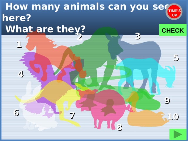  How many animals can you see here?  What are they? TIME’S UP CHECK 3 2 1 5 4 9 6 7 10 8 