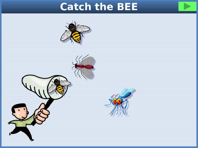 Catch the BEE 