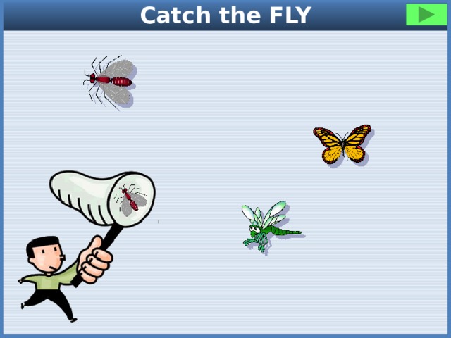 Catch the FLY 