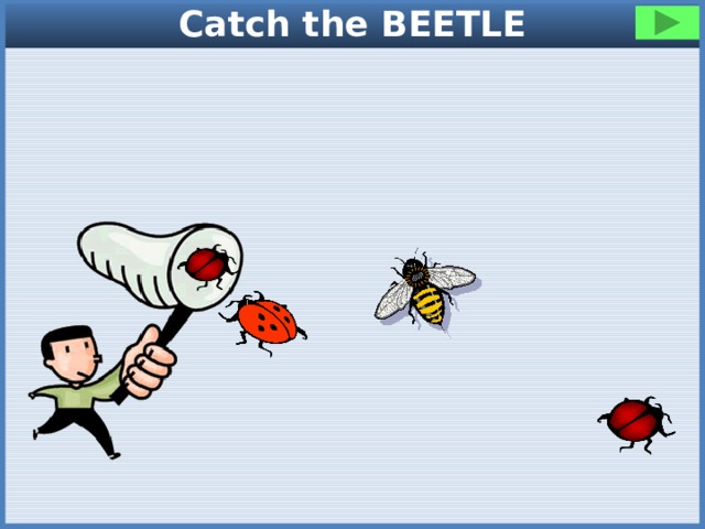 Catch the BEETLE 