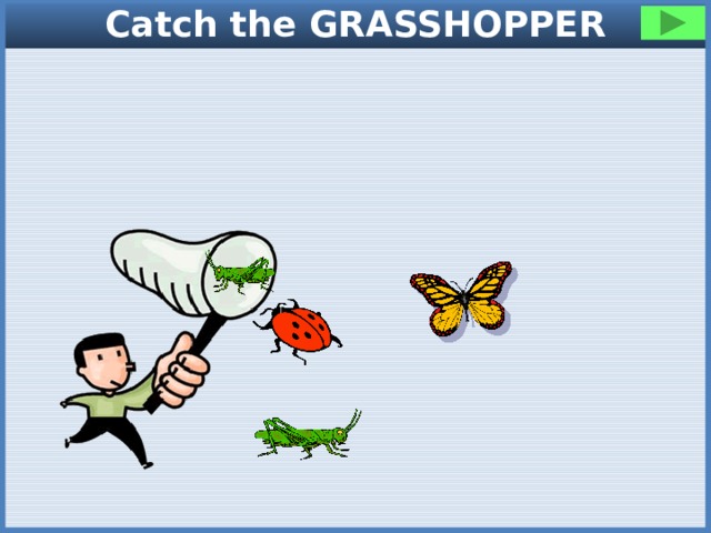 Catch the GRASSHOPPER 