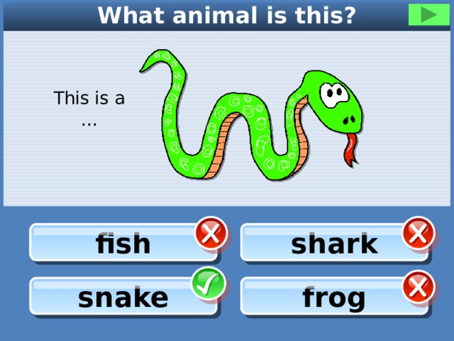 What animal is this? This is a … shark fish shark fish frog frog snake 