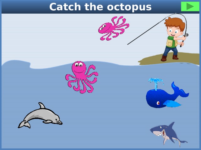 Catch the octopus 