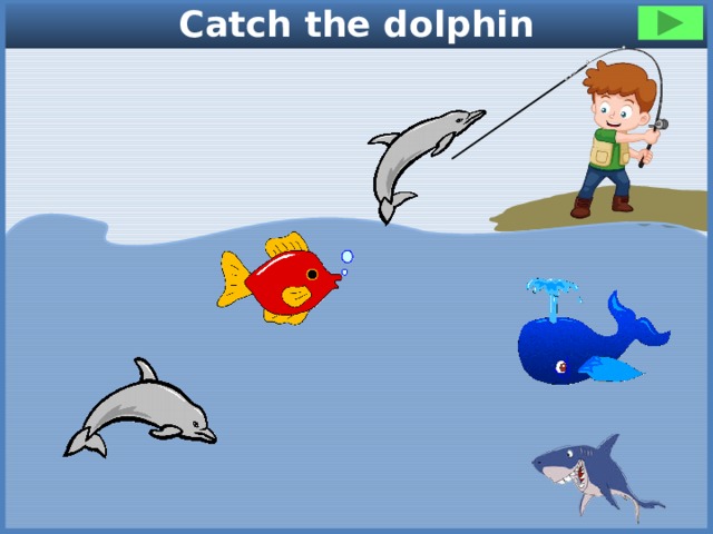 Catch the dolphin 