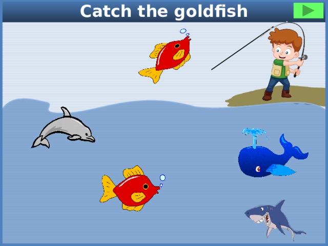 Catch the goldfish 