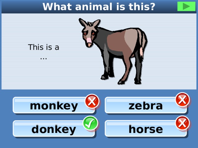 What animal is this? This is a … monkey monkey zebra zebra horse horse donkey 