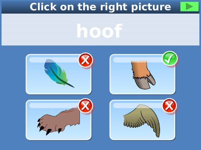 Click on the right picture hoof 