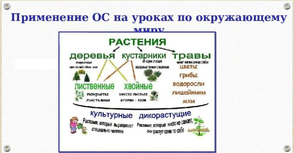 Конспект урока по окружающему миру 2 класс. Лист опорных сигналов. Опорный сигнал на уроке это. Опорные сигналы в начальной школе. Опорные сигналы Шаталова в начальной школе.