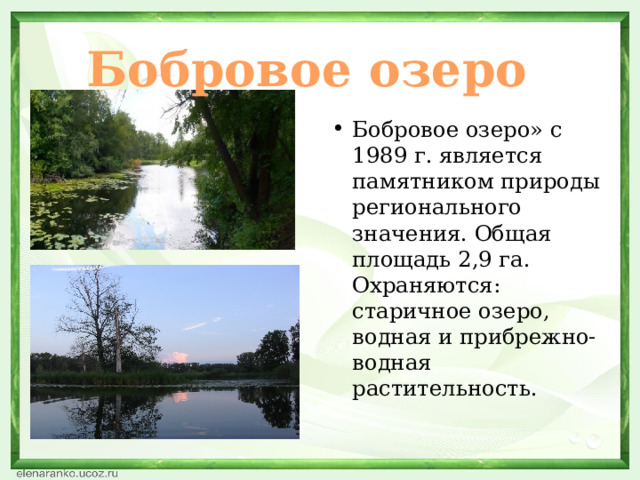 Бобровое озеро Бобровое озеро» с 1989 г. является памятником природы регионального значения. Общая площадь 2,9 га. Охраняются: старичное озеро, водная и прибрежно-водная растительность. 