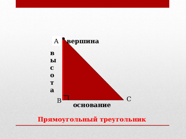 вершина А в ы с о т а С В основание Прямоугольный треугольник 