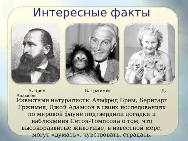 Интересные факты А. Брем Б. Гржимек Д. Адамсон Известные натуралисты Альфред Брем, Бернгарт Гржимек, Джой Адамсон в своих исследованиях по мировой фауне подтвердили догадки и наблюдения Сетон-Томпсона о том, что высокоразвитые животные, в известной мере, могут «думать», чувствовать, страдать. 