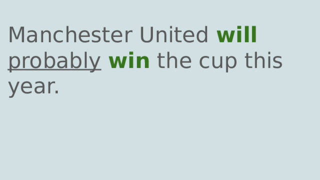 Manchester United will  probably  win the cup this year. 