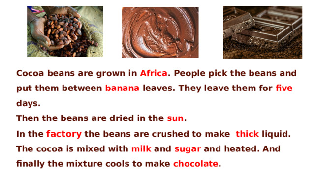 Cocoa beans are grown in Africa . People pick the beans and put them between banana leaves. They leave them for five days. Then the beans are dried in the sun . In the factory the beans are crushed to make thick liquid. The cocoa is mixed with milk and sugar and heated. And finally the mixture cools to make chocolate .  