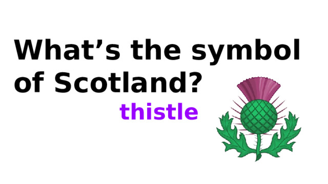 What’s the symbol of Scotland? thistle 