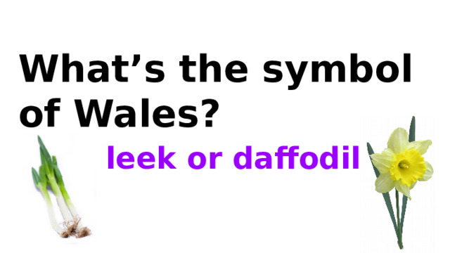 What’s the symbol of Wales? leek or daffodil 
