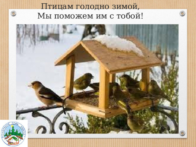 Птицам голодно зимой,  Мы поможем им с тобой! 