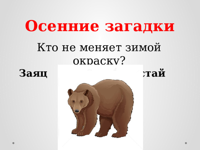 Осенние загадки    Кто не меняет зимой окраску?  Заяц белка горностай  медведь