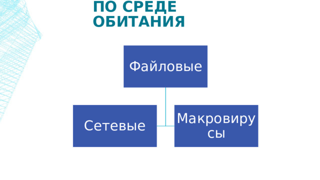 По среде обитания Файловые Сетевые Макровирусы 8 