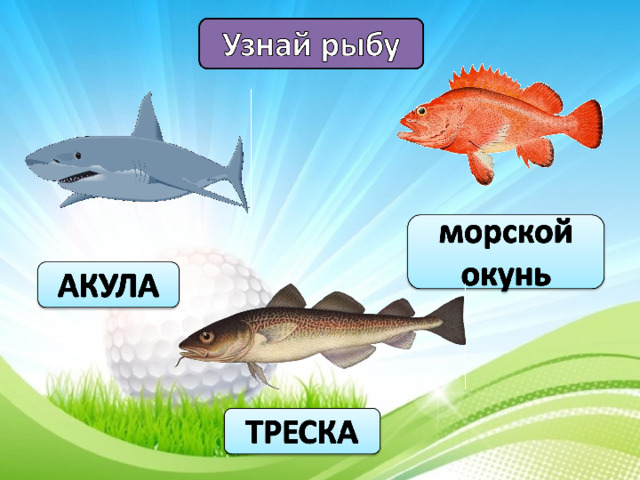 Урок рыбы