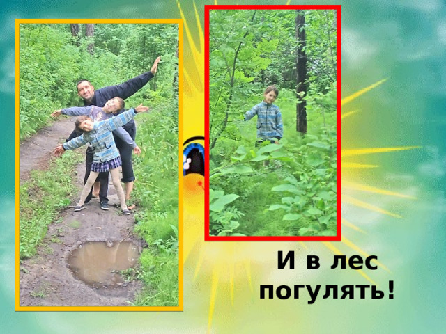  И в лес погулять! 