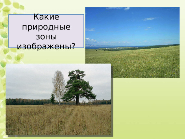 Краснодар в какой природной зоне