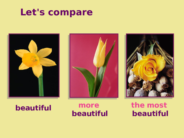 Let's compare more the most  beautiful beautiful beautiful 