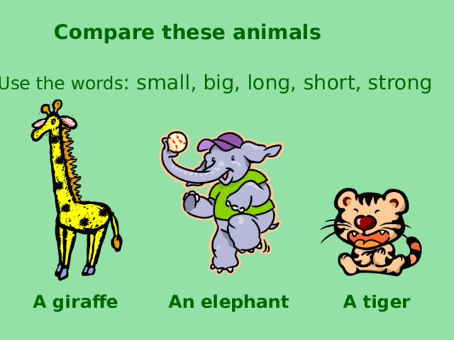 Compare these animals Use the words : small, big, long, short, strong A giraffe An elephant A tiger 