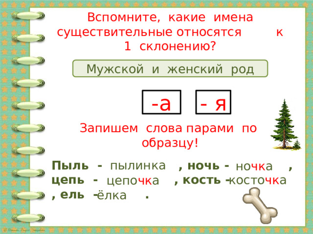 Вспомните, какие имена существительные относятся к 1 склонению? Мужской и женский род -а - я Запишем слова парами по образцу!   пылинка Пыль - , ночь - , цепь - , кость - , ель - .   но чк а косто чк а цепо чк а ёлка 