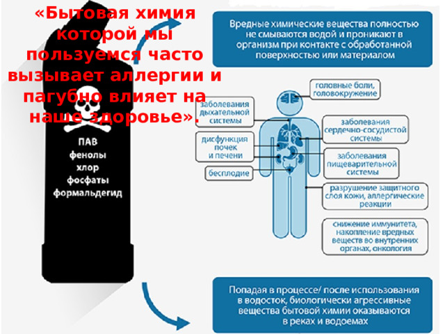 «Бытовая химия которой мы пользуемся часто вызывает аллергии и пагубно влияет на наше здоровье». 
