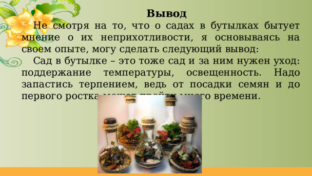Вывод Не смотря на то, что о садах в бутылках бытует мнение о их неприхотливости, я основываясь на своем опыте, могу сделать следующий вывод: Сад в бутылке – это тоже сад и за ним нужен уход: поддержание температуры, освещенность. Надо запастись терпением, ведь от посадки семян и до первого ростка может пройти много времени. 
