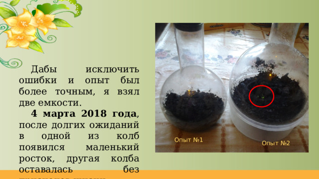 Дабы исключить ошибки и опыт был более точным, я взял две емкости. 4 марта 2018 года , после долгих ожиданий в одной из колб появился маленький росток, другая колба оставалась без признаков жизни. Опыт №1 Опыт №2 