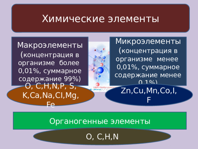 Химические элементы Макроэлементы Микроэлементы ( концентрация в организме более 0,01%, суммарное содержание 99%) ( концентрация в организме менее 0,01%, суммарное содержание менее 0,1%) O, C,H,N,P, S, K,Ca,Na,CI,Mg,Fe Zn,Cu,Mn,Co,I,F Органогенные элементы O, C,H,N 