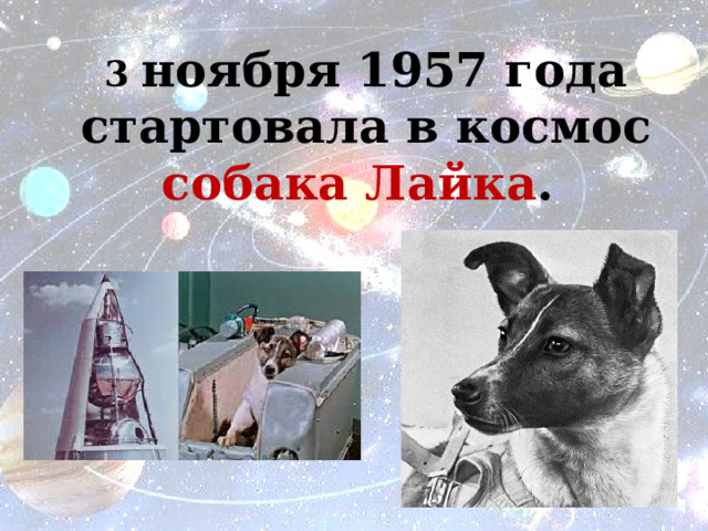 3 ноября 1957 года стартовала в космос собака Лайка . 