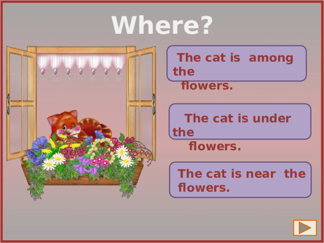 Where?  The cat is among the  flowers.  The cat is under the  flowers. The cat is near the flowers. 14 